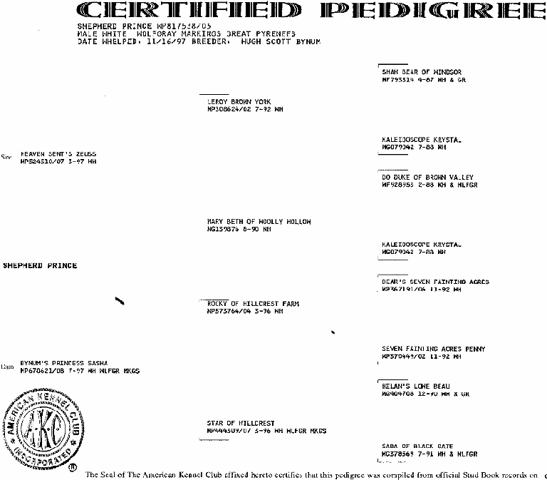 Shep's Pedigree.